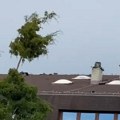 Olujni vetar napravio haos u bajinoj bašti: Škola ostala bez krova, nema struje, buknuo i požar (video)