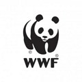 WWF: Na Bernskoj konvenciji izglasano smanjenje stepena zaštite vukova