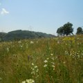 Planina Rudnik proglašena zaštićenim područjem u Srbiji