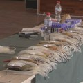 Održana akcija dobrovoljnog davanja krvi
