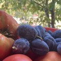 Inflacija tiho krčka: Voće, povrće, odnošenje smeća dižu opšti rast cena, sve akcije do sada bez efekta