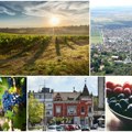 Od 18. do 21. septembra vršac zove Bogat program 67. Grožđebala! Biće vina, grožđa, karnevala i maski, ali i ekologije i…