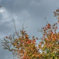 Osetno svežije u Srbiji Vetar nosi kišu u pojedine krajeve
