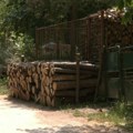 Tropske vrućine, ali drva se kupuju kao pred zimu: Novi pravilnik stiže, cene stabilne ili skaču?
