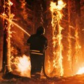 Nastavlja se borba sa šumskim požarima u Turskoj Najteže pogođen region Čanakale