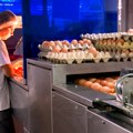 Na tržištu se pojavilo biljno jaje: "Razumem da sada mislimo na vegane, ali da li znate šta je u njemu!?": Evo šta o svemu…