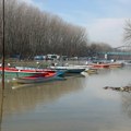 Zabrinjavajući podaci sa Tamiša, reka na samom istorijskom minimumu! Suša potpuno uzela danak kod Jaše Tomića, ugrožen…