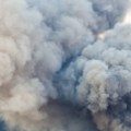 Izbio požar na Zlatiboru, vatra zahvatila oko dva hektara šume i rastinja