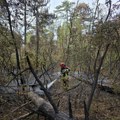 Režim tvrdi da požar ne može da bude prečica do građevinskog zemljišta