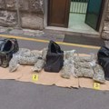 Kragujevački policajci otkrili improvizovanu laboratoriju za uzgoj marihuane, zaplenili 92 kilograma droge