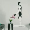 Sve popularnije zanimanje - trener robota za kućne poslove, zarada i do 900 dolara mesečno