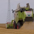 U Vojvodini je u toku najranija žetva pšenice