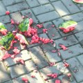 Ponoćna drama u Sremskoj Mitrovici: Bračni par se žestoko posvađao, pa se gađali lubenicama - stanare zgrade sačekao…