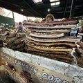 Spremni za 19. Noćni bazar u Zrenjaninu?