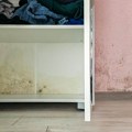"Kako temperatura u sobi 25°C, a zidovi vlažni?" Trik za sve koji žive u zgradama, najbrže otkriva izvor vlage