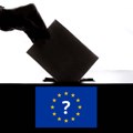 EU traži „brzu i transparentnu istragu“ incidenata na lokalnim izborima u Srbiji