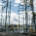 SAD: 50 miliona ljudi na udaru vremenskih nepogoda i dima od šumskih požara iz Kanade