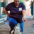 (Foto, video): Beba pingvin stigla u Beo zoo vrt: Još se ne zna pol, čeka se i ime, jedno je sigurno - ovo je najslađe…