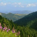 Kopaonik borac protiv klimatskih promena, „zarobio“ milion tona ugljenika