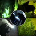 Munjevita akcija mupa - "pali" dileri u Beogradu! U luksuznom naselju uzgajali marihuanu (video)