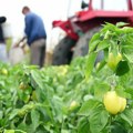 Rok za predaju zahteva za podsticaje u biljnoj proizvodnji do 1. aprila, rok za konkurentnu poljoprivredu 29. februar