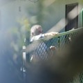 САЗНАЈЕМО Отац осумњиченог за убиство Данке Илић излази из притвора