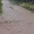 Jako nevreme pogodilo Kragujevac i okolinu, reke teku ulicama: Kiša blokirala grad, objavljeni snimci potopa (video)