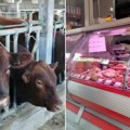 Svinjetina drastično poskupela, a junetina na granici luksuza Tovilišta prazna prerađevine i dalje po starim cenama