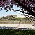 Petrovaradinska tvrđava, Novosadski vinski put, vojvođanska kuhinja - šta još Novi Sad nudi turistima?