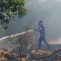 Cedis: Materijalna šteta od nedavnih požara u Crnoj Gori 140.000 evra