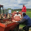 Почела сетва кромпира на 1.200 метара надморске висине, Гујаничићи из Акмачића не одустају од изазова (видео)