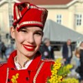 Herceg Novi poziva na 57. Praznik mimoze: Prvog vikenda velika fešta na rivijeri i nastupi regionalnih zvezda