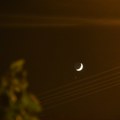 Zajedničko posmatranje meteorske kiše i u Leskovcu