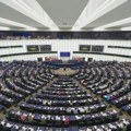 Kos na debati o veličanju Ratka Mladića u EP: Prestanite da koristite prošlost kao prepreku budućnosti, revizionizmu nema…