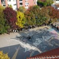 UŽIVO Izbori Novi Sad: Glasalo 69 odsto birača do 18 časova, sumnja na paralelne spiskove u Veterniku