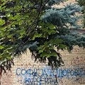 Inicijativa mladih za ljudska prava: Preteći grafit na zgradi u Borči gde živi naša programska direktorka
