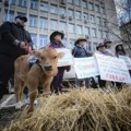 Bugarski poljoprivrednici se pridružili protestima farmera širom Evrope