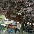 Za druženje i rekreaciju starijih kragujevčana : Uređene senior oaze
