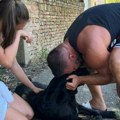 Pronađen Kimbo za kog je Nikola nudio 1.000 evra: Vlasnici plakali na susretu, ljubili ga u glavu
