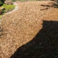 Ovo je razlog nove invazije na Ukrajinu! Grizu sve pred sobom, idu i ka Rusiji! Na udaru je i Krim! (foto/video)