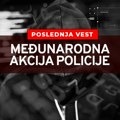 MUP Republike Srbije: Uhapšeno više lica zbog seksualne eksploatacije i zlostavljanja dece na internetu Zlostavljanje dece