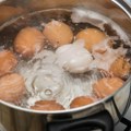 Nikada ne bacajte vodu u kojoj ste kuvali jaja: Trik od 0 dinara će spasiti vaše biljke
