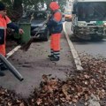 Trodnevna akcija na čukarici: Čistili zelene površine i trotoare