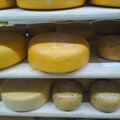 Srpski miročki sir na listi 50 najboljih sireva na svetu