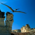 Otkrivena nova vrsta drevnog letećeg reptila! Naučnici pronašli neobičan fosil: Evo kako je izgledao