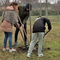 Novi parkovi u Kikindi i okolini