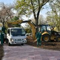 JKP „Mediana“ Niš – Oprez zbog mogućih padova suvih grana u parkovima