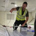 Zmija zaustavila let iz Melburna: Da je pobegla, sve bi se pretvorilo u noćnu moru, evo zašto