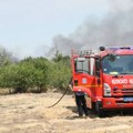 Požar iznad Kraljeva, gori šuma i nisko rastinje