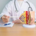 Najčešća pitanja o raku dojke: Saznajte sve o faktorima rizika, mamografiji, ulozi gena